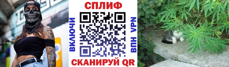 Где можно купить наркотики Николаевск Кокаин  ГАШИШ  Псилоцибиновые грибы  Марихуана  Альфа ПВП 