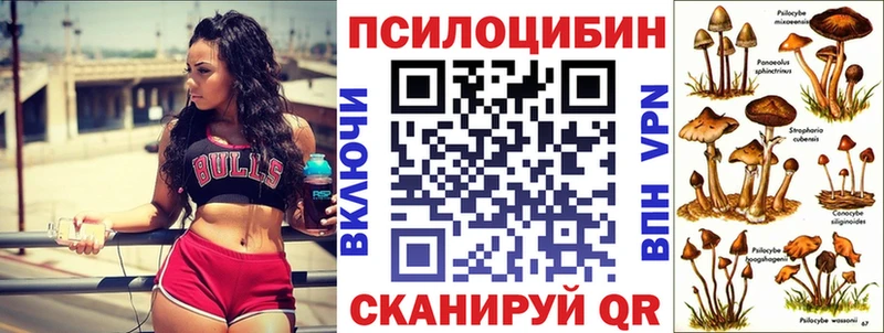 Галлюциногенные грибы мицелий Николаевск