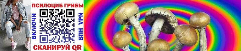 Псилоцибиновые грибы Magic Shrooms  Николаевск 